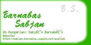 barnabas sabjan business card